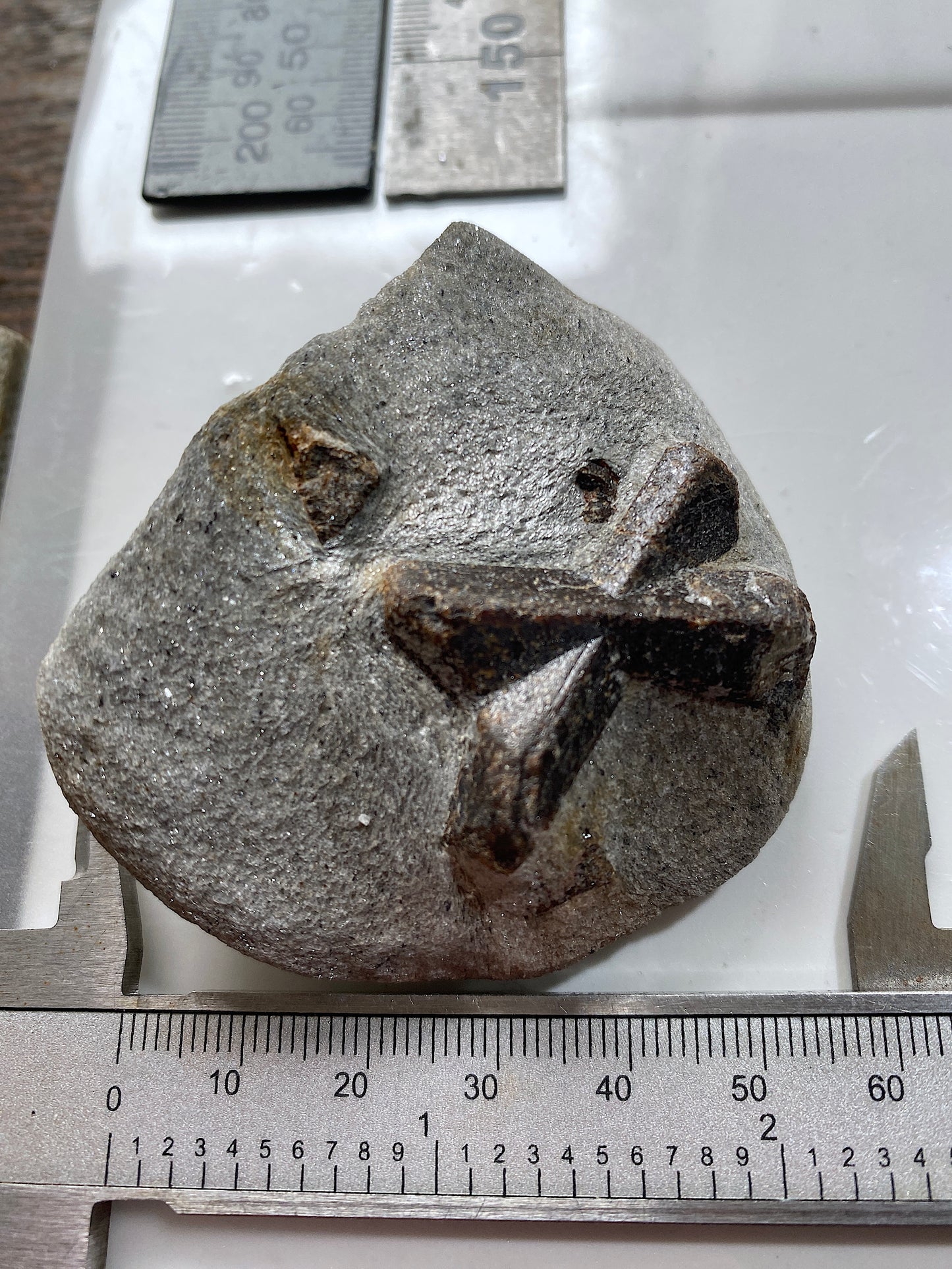 STAUROLITE ON MICA SCHIST : PESTOVYE KEIVY, KOLA PENINSULA, RUSSIA 101g MF4823