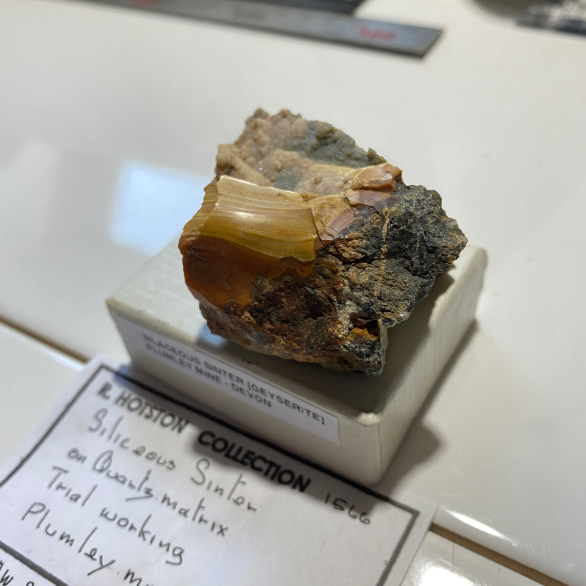 SILACEOUS SINTER [GEYSERITE] : PLUMLEY MINE, LUSTLEIGH, DEVON, ENGLAND  64g MF5463