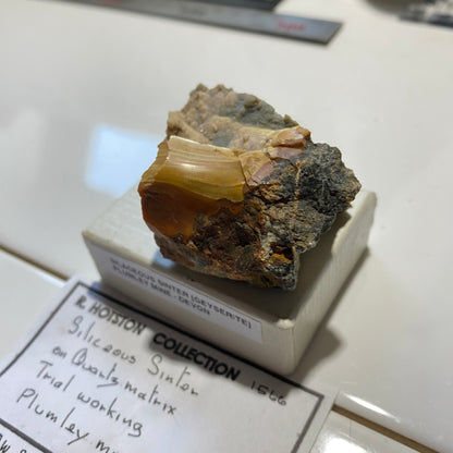 SILACEOUS SINTER [GEYSERITE] : PLUMLEY MINE, LUSTLEIGH, DEVON, ENGLAND  64g MF5463