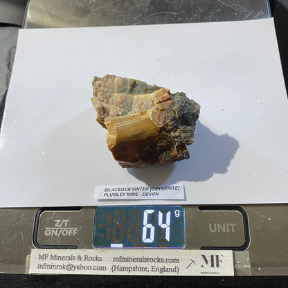 SILACEOUS SINTER [GEYSERITE] : PLUMLEY MINE, LUSTLEIGH, DEVON, ENGLAND  64g MF5463