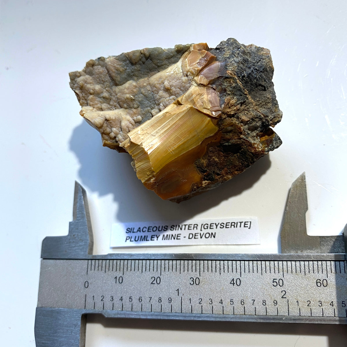 SILACEOUS SINTER [GEYSERITE] : PLUMLEY MINE, LUSTLEIGH, DEVON, ENGLAND  64g MF5463