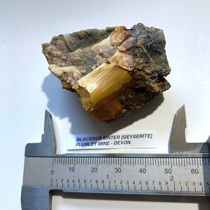 SILACEOUS SINTER [GEYSERITE] : PLUMLEY MINE, LUSTLEIGH, DEVON, ENGLAND  64g MF5463