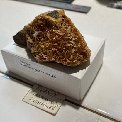 SIDERITE : MARKHAM QUARRY, SOUTH WALES  107g. MF5464