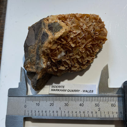 SIDERITE : MARKHAM QUARRY, SOUTH WALES  107g. MF5464