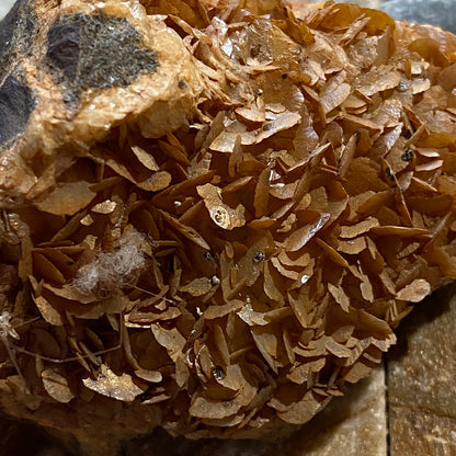 SIDERITE : MARKHAM QUARRY, SOUTH WALES  107g. MF5464