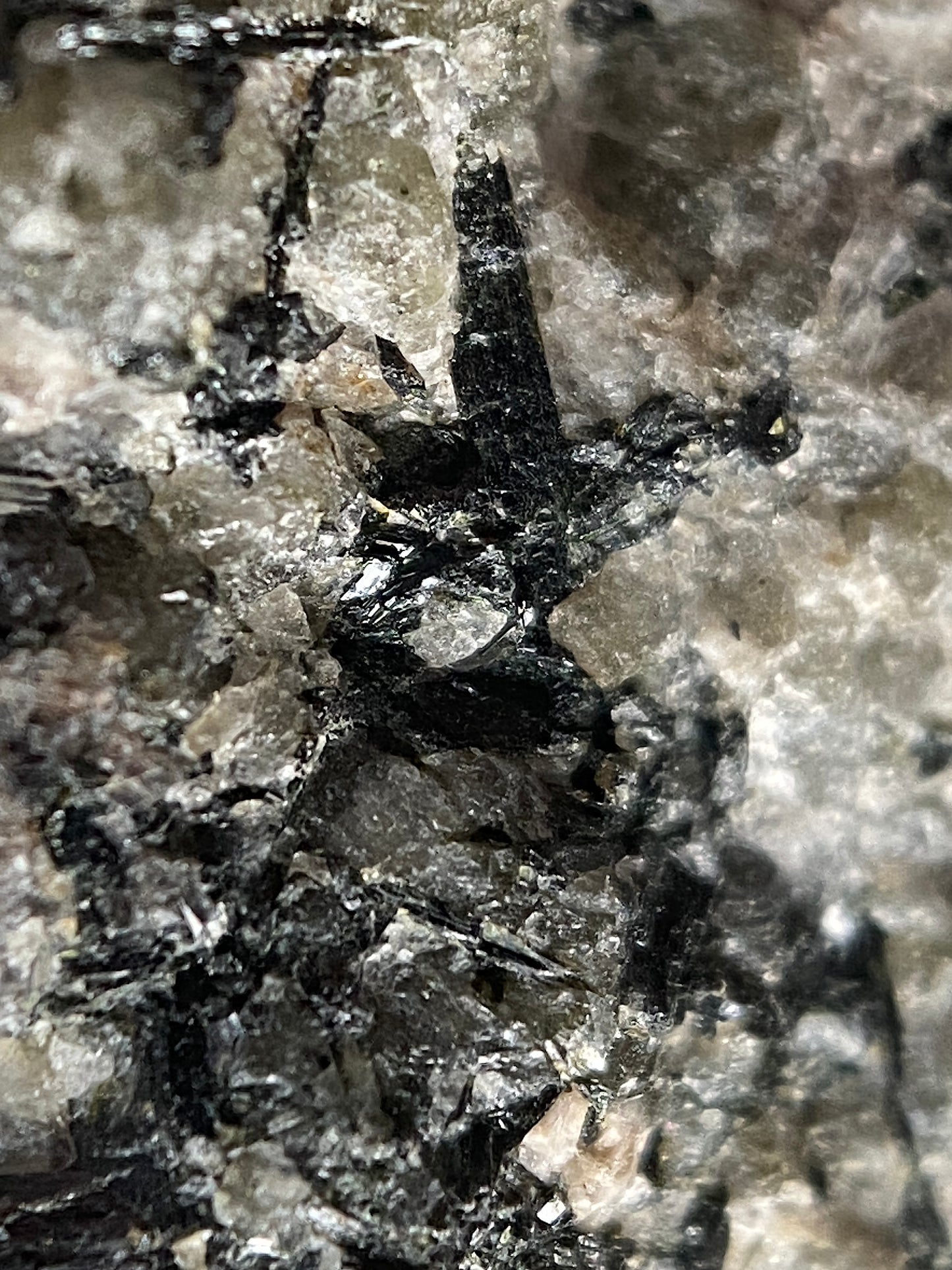 MURMANITE [ETC] : SELSURT MOUTAIN, KOLA PENINSUAL, RUSSIA 63g MF4824