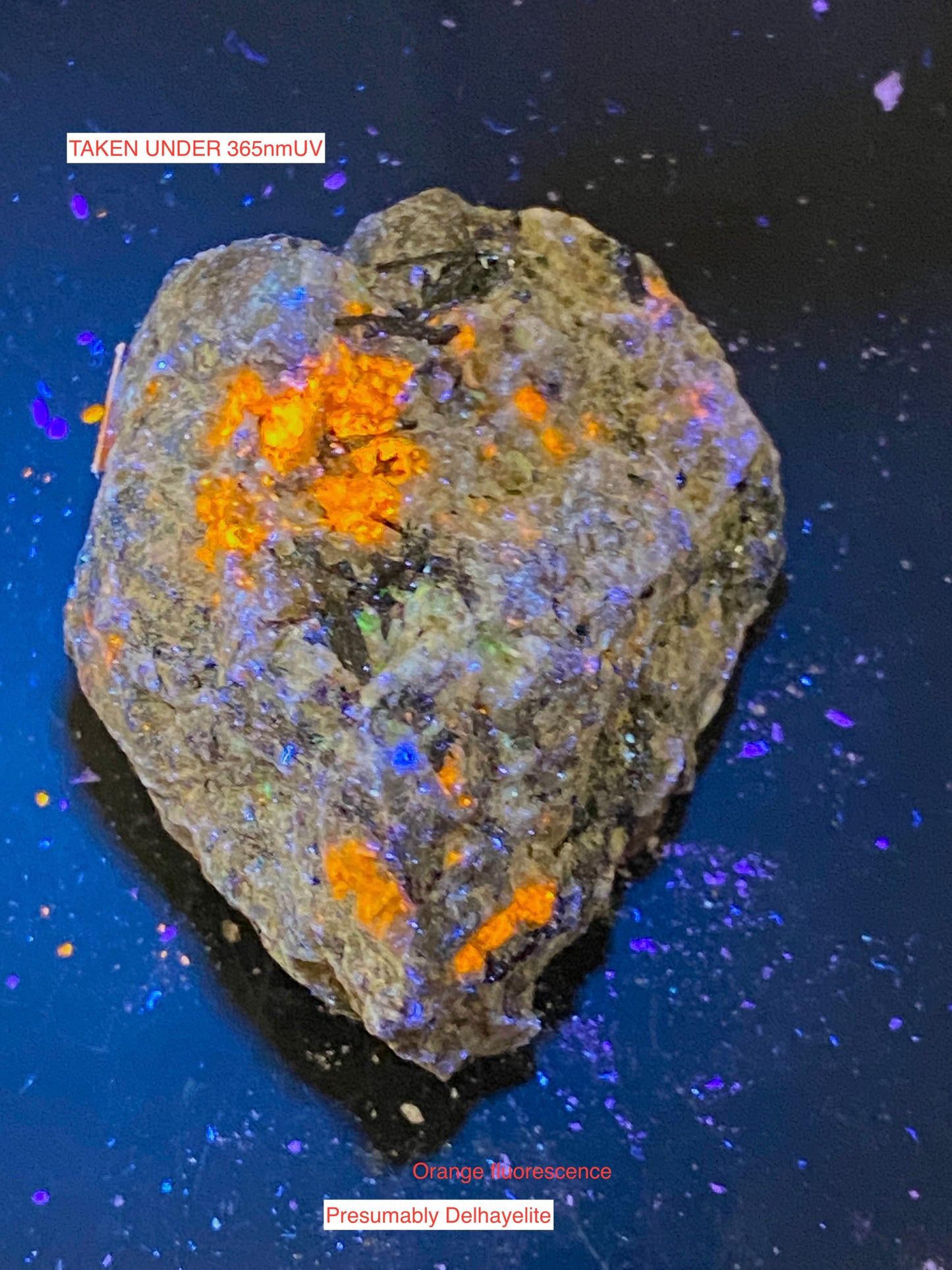 MURMANITE [ETC] : SELSURT MOUTAIN, KOLA PENINSUAL, RUSSIA 63g MF4824