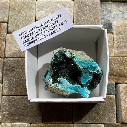 CHRYSOCOLLA/MALACHITE : SAMBA MINE, KASOMPE, COPPER BELT, ZAMBIA 32g MF5468