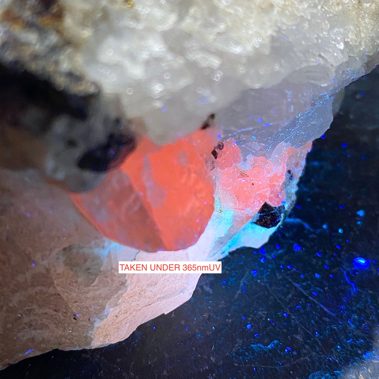 WITHERITE [ETC] - MINERVA NO 1 MINE, HARDIN COUNTY, ILLINOIS, U.S.A 875g MF944