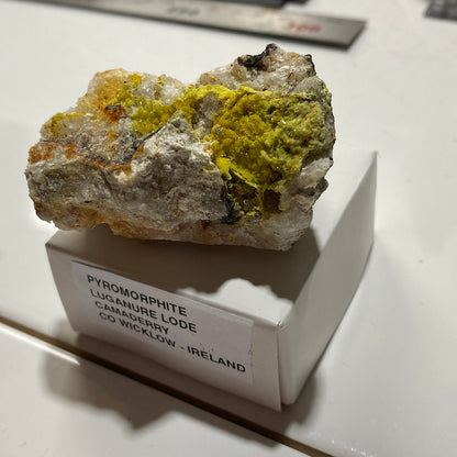 PYROMORPHITE : LUGANURE LODE, CAMADERRY, CO WICKLOW, IRELAND. 69g MF5470