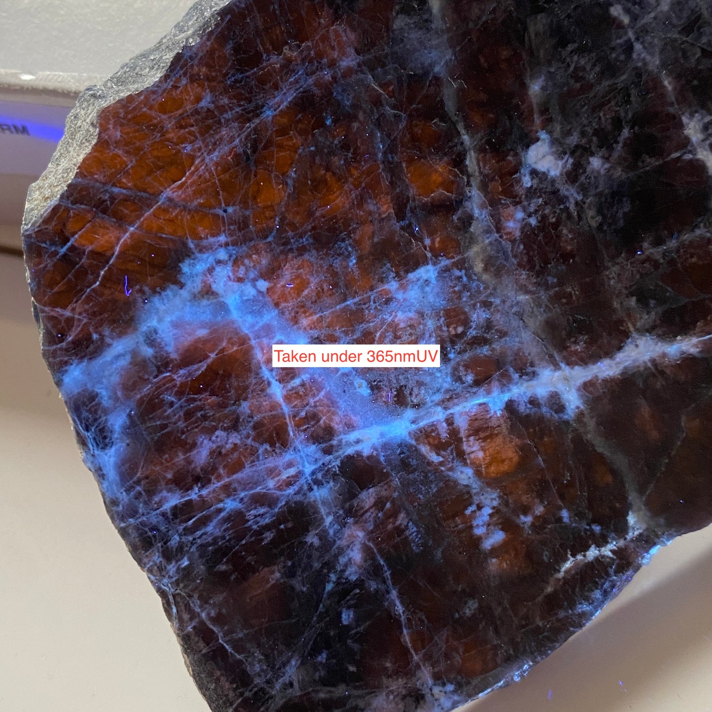 SODALITE - HIASSU FARM, BAHIA, BRAZIL SLICE PROFILE 62g MF 2357