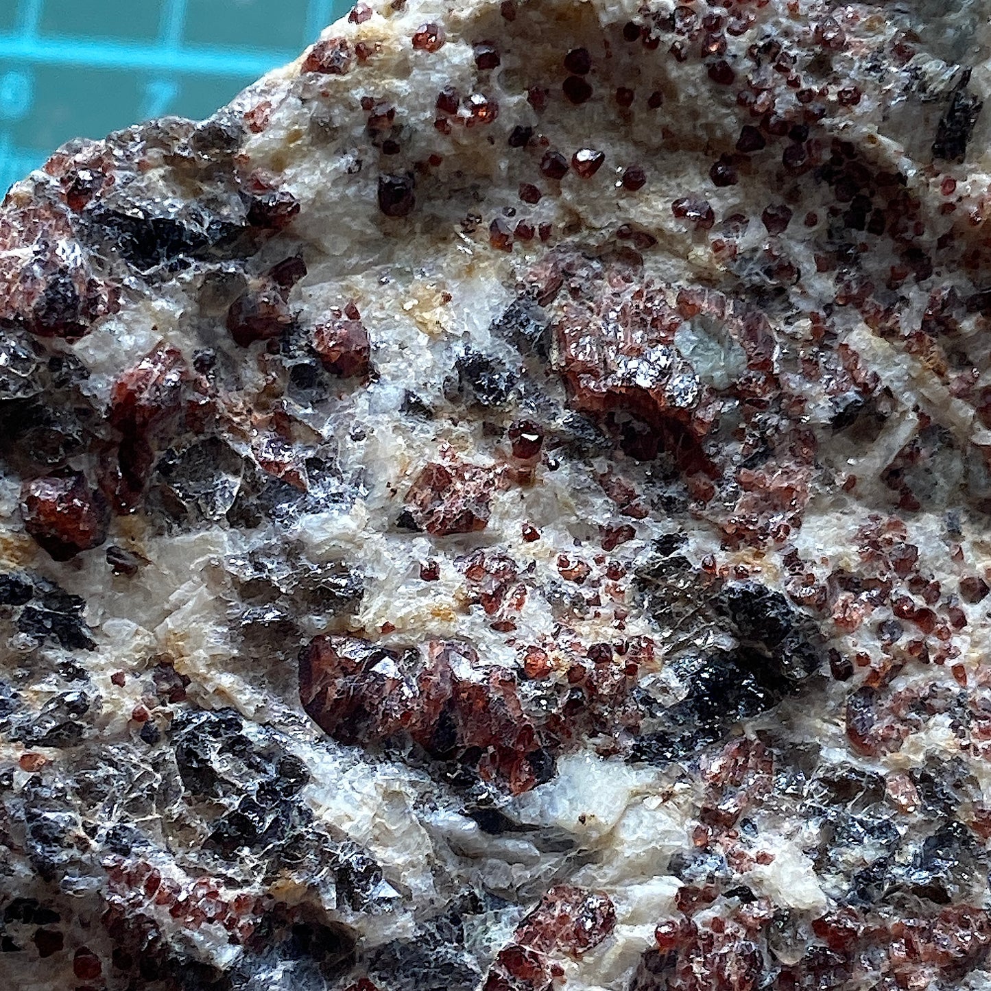 GROSSULAR [HESSONITE] GARNET ETC - POLLUX, ZERMATT, VALAIS, SWITZERLAND 904g MF993