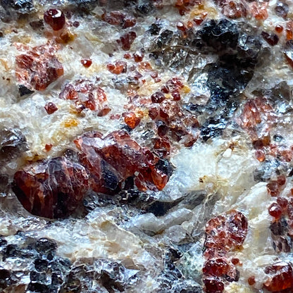 GROSSULAR [HESSONITE] GARNET ETC - POLLUX, ZERMATT, VALAIS, SWITZERLAND 904g MF993