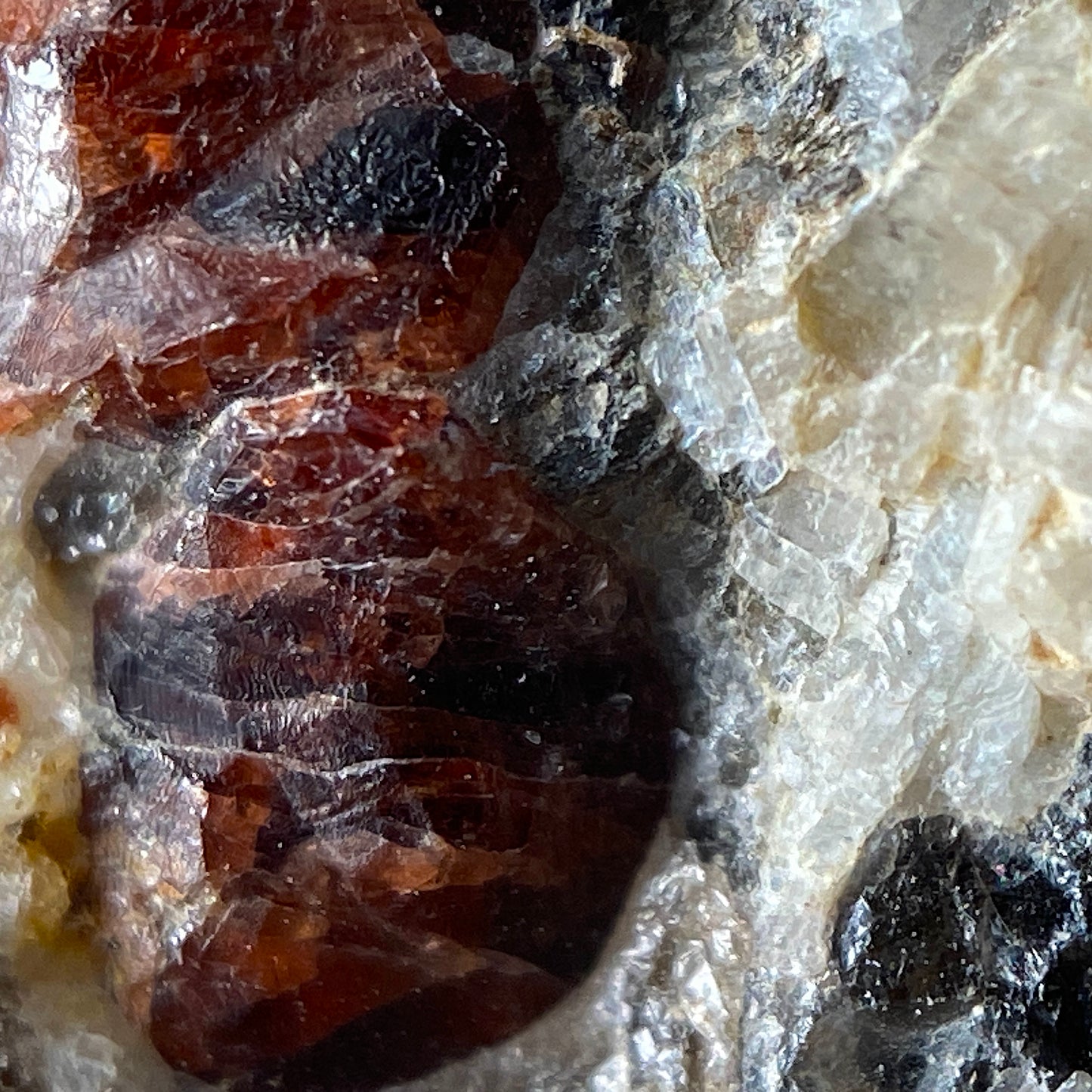 GROSSULAR [HESSONITE] GARNET ETC - POLLUX, ZERMATT, VALAIS, SWITZERLAND 904g MF993