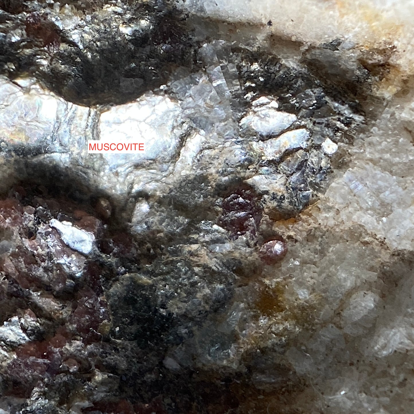 GROSSULAR [HESSONITE] GARNET ETC - POLLUX, ZERMATT, VALAIS, SWITZERLAND 904g MF993