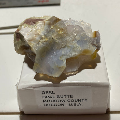 OPAL : OPAL BUTTE, MORROW COUNTY, OREGON, U.S.A.  36g. MF5472