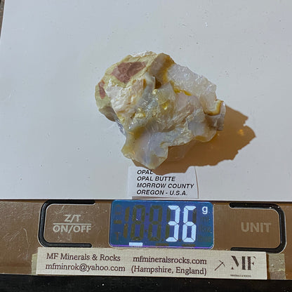 OPAL : OPAL BUTTE, MORROW COUNTY, OREGON, U.S.A.  36g. MF5472
