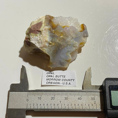 OPAL : OPAL BUTTE, MORROW COUNTY, OREGON, U.S.A.  36g. MF5472