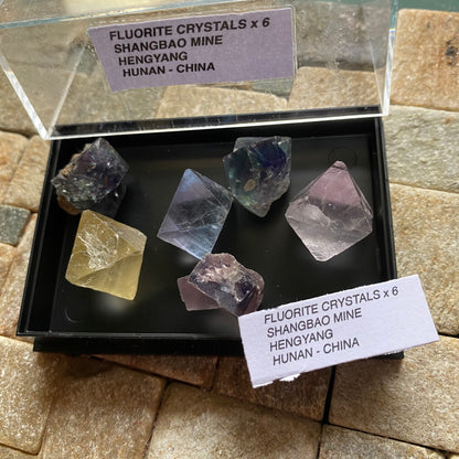 FLUORITE CRYSTAL SPECIMENS x 6 - SHANGBAO MINE, HUNAN, CHINA  36g. MF2359