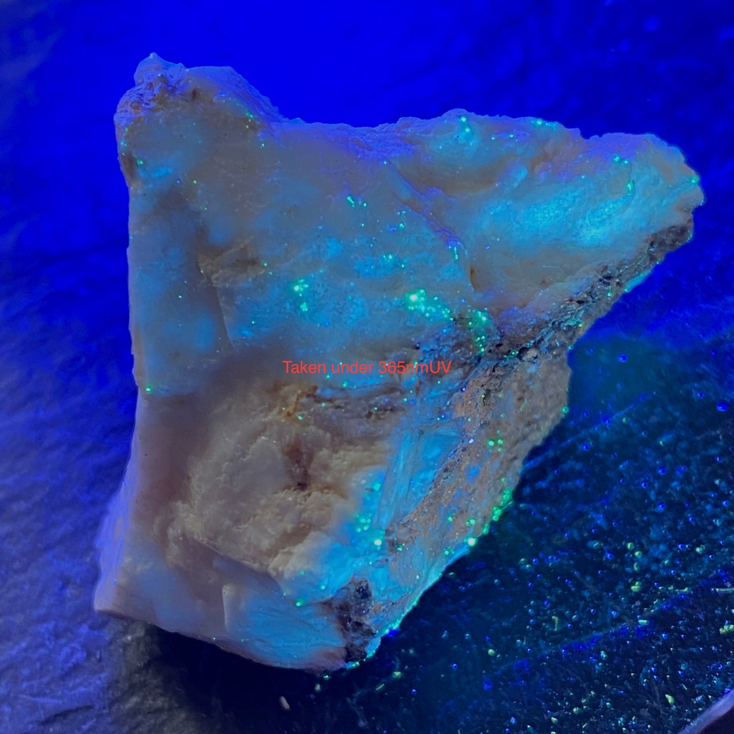 OPALISED SINTER - ORAKEI KARAKO GEOTHERMAL PARK, NEW ZEALAND 11g MF2361