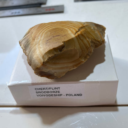 UNUSUAL CHERT/FLINT : SRODBORZE, VOIVODESHIP, POLAND. 101g MF5477