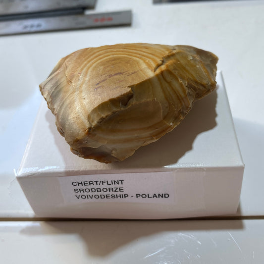 UNUSUAL CHERT/FLINT : SRODBORZE, VOIVODESHIP, POLAND. 101g MF5477