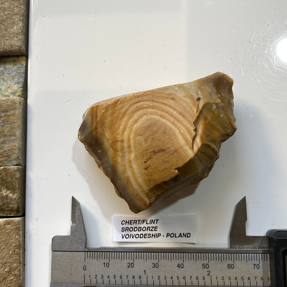 UNUSUAL CHERT/FLINT : SRODBORZE, VOIVODESHIP, POLAND. 101g MF5477