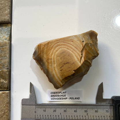 UNUSUAL CHERT/FLINT : SRODBORZE, VOIVODESHIP, POLAND. 101g MF5477
