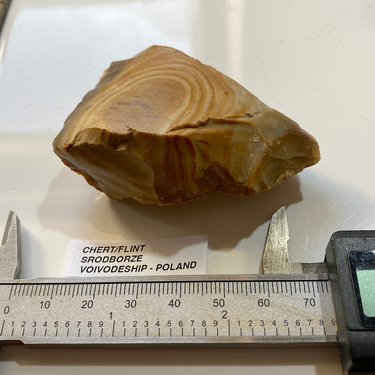 UNUSUAL CHERT/FLINT : SRODBORZE, VOIVODESHIP, POLAND. 101g MF5477