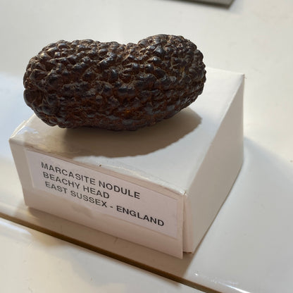 MARCASITE NODULE : BEACHY HEAD, EAST SUSSEX, ENGLAND 65g MF5478