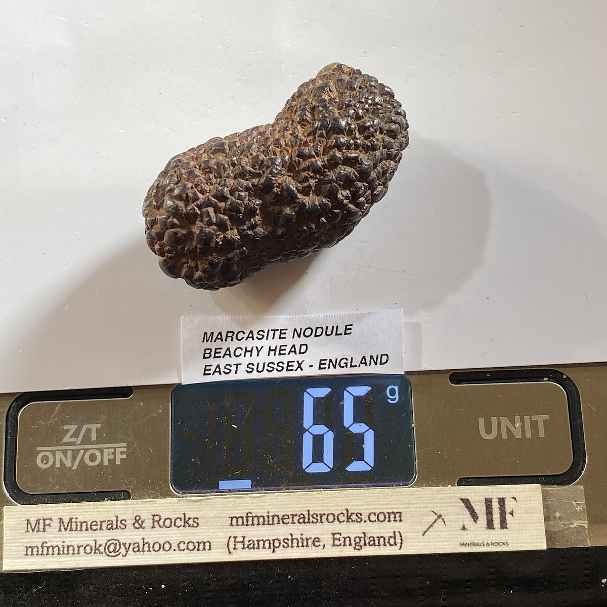 MARCASITE NODULE : BEACHY HEAD, EAST SUSSEX, ENGLAND 65g MF5478