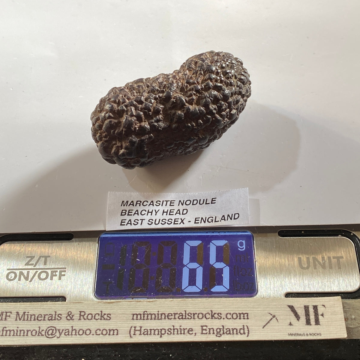 MARCASITE NODULE : BEACHY HEAD, EAST SUSSEX, ENGLAND 65g MF5478