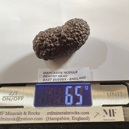 MARCASITE NODULE : BEACHY HEAD, EAST SUSSEX, ENGLAND 65g MF5478