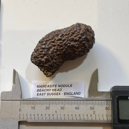 MARCASITE NODULE : BEACHY HEAD, EAST SUSSEX, ENGLAND 65g MF5478