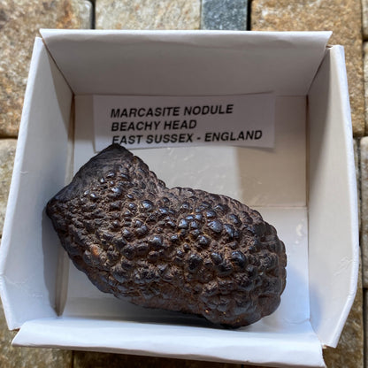 MARCASITE NODULE : BEACHY HEAD, EAST SUSSEX, ENGLAND 65g MF5478