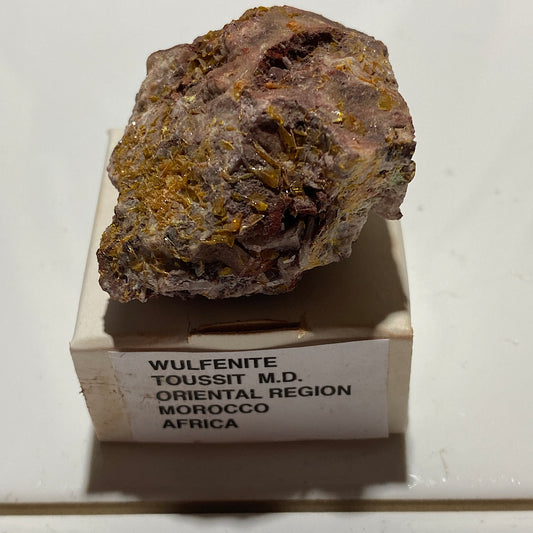 WULFENITE ON MATRIX : TOUSSIT MINING DISTRICT, ORIENTAL - MOROCCO  37g MF5480