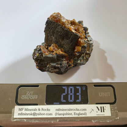 ORE SPECIMEN - TURT MINE, OAS MOUNTAINS, SATU MARE  ROMANIA 283g MF1002