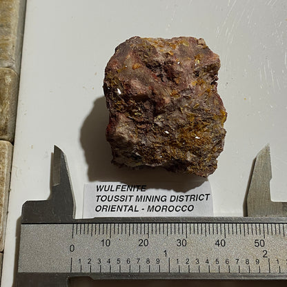 WULFENITE ON MATRIX : TOUSSIT MINING DISTRICT, ORIENTAL - MOROCCO  37g MF5480