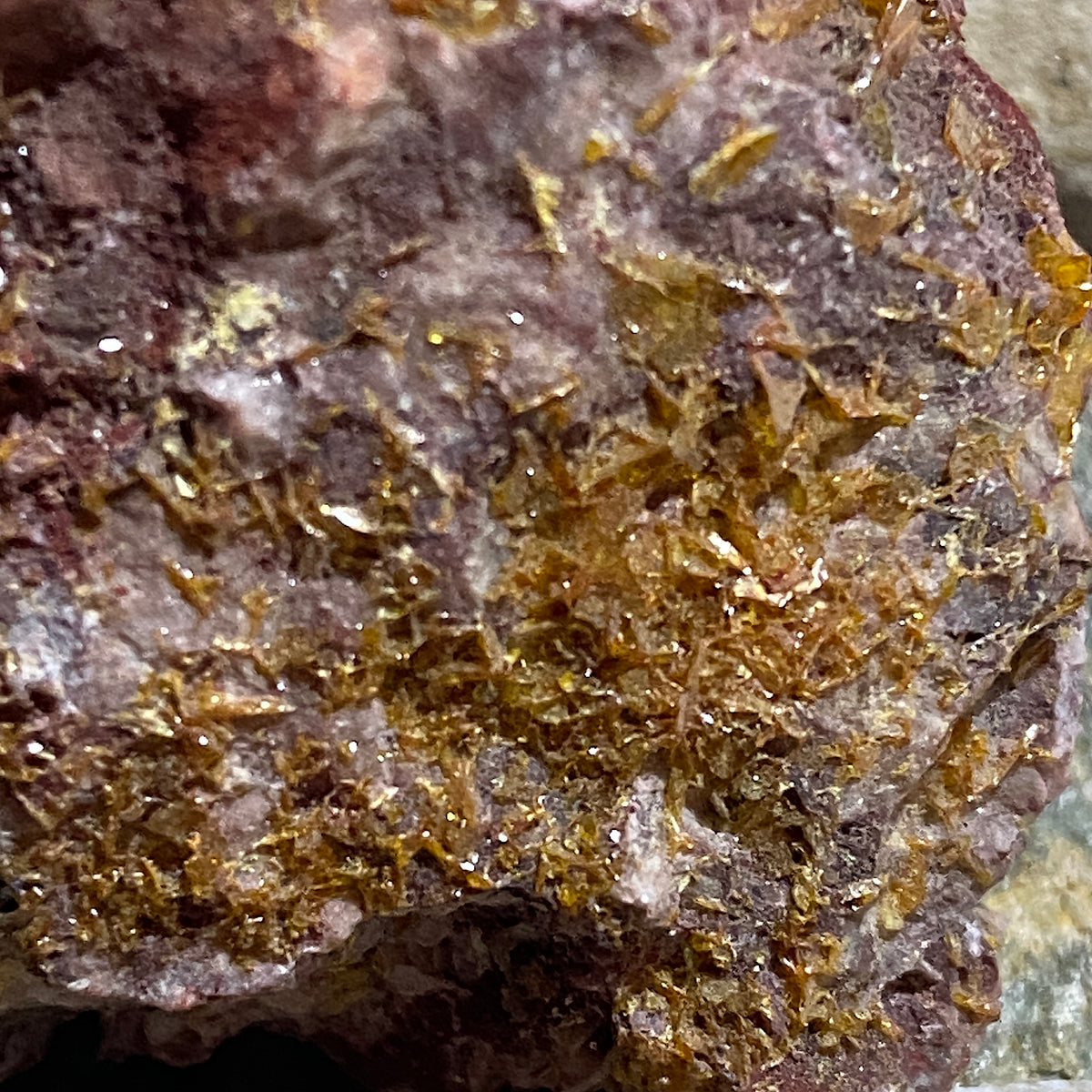WULFENITE ON MATRIX : TOUSSIT MINING DISTRICT, ORIENTAL - MOROCCO  37g MF5480