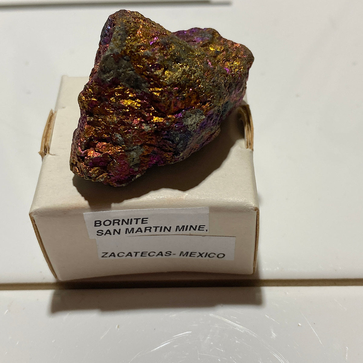 BORNITE : SAN MARTIN MINE, ZACATECAS - MEXICO : 34g. MF5484