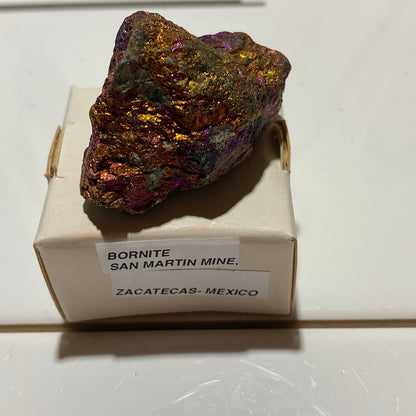 BORNITE : SAN MARTIN MINE, ZACATECAS - MEXICO : 34g. MF5484
