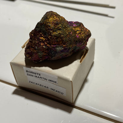 BORNITE : SAN MARTIN MINE, ZACATECAS - MEXICO : 34g. MF5484