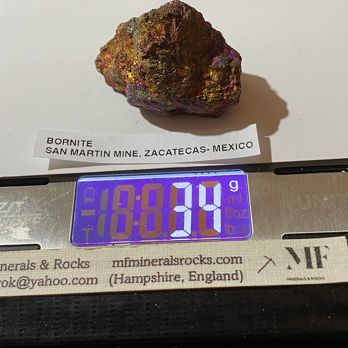 BORNITE : SAN MARTIN MINE, ZACATECAS - MEXICO : 34g. MF5484