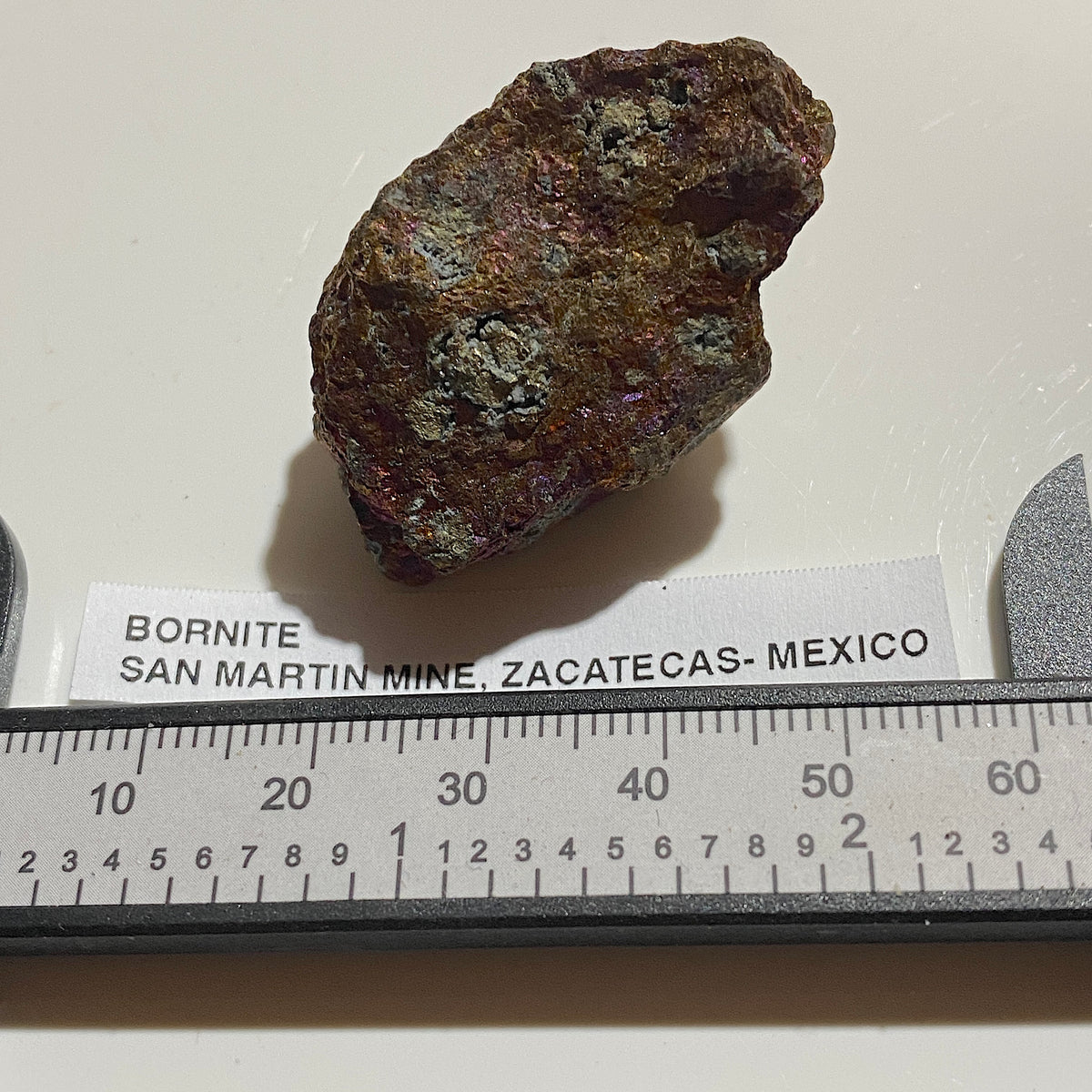 BORNITE : SAN MARTIN MINE, ZACATECAS - MEXICO : 34g. MF5484