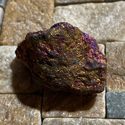 BORNITE : SAN MARTIN MINE, ZACATECAS - MEXICO : 34g. MF5484