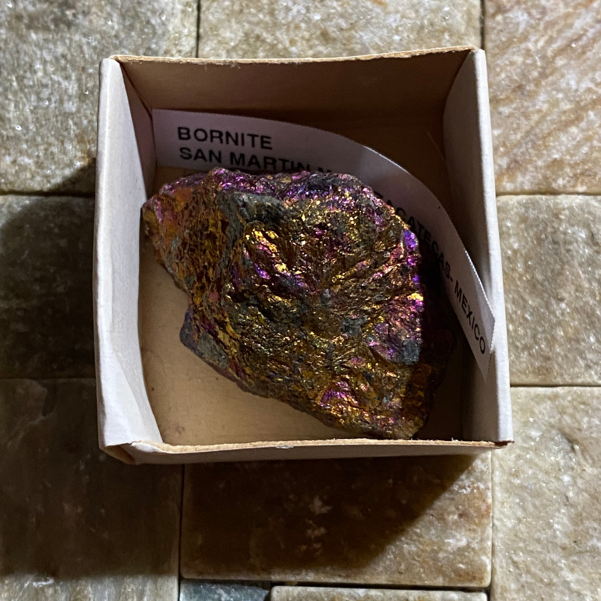 BORNITE : SAN MARTIN MINE, ZACATECAS - MEXICO : 34g. MF5484