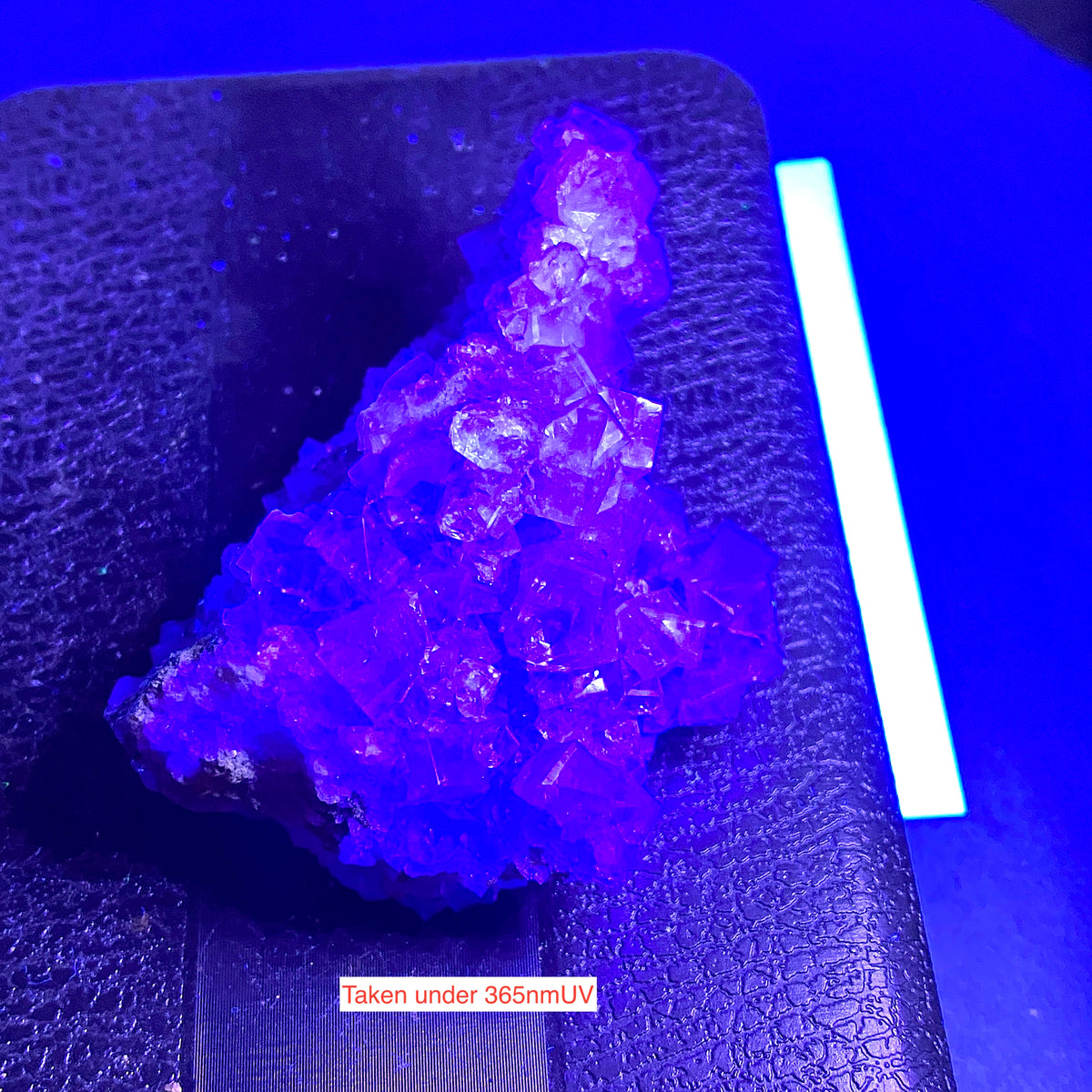 FLUORITE : FRASERS HUSH MINE, ROOKHOPE, COUNTY DURHAM, ENGLAND  60g MF5488