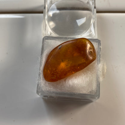 AMBER - KALININGRAD, THE BALTIC, RUSSIA. 2g. MF2373