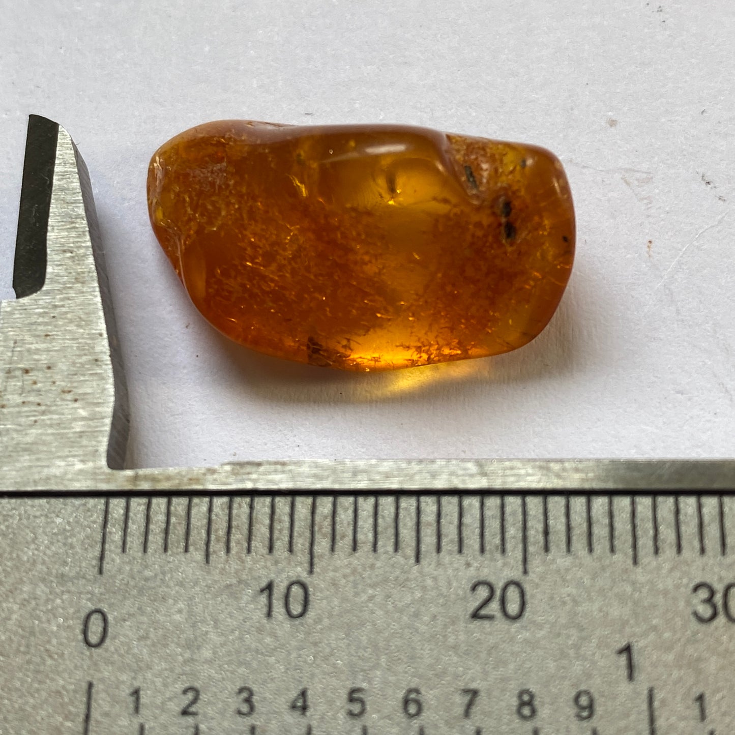 AMBER - KALININGRAD, THE BALTIC, RUSSIA. 2g. MF2373