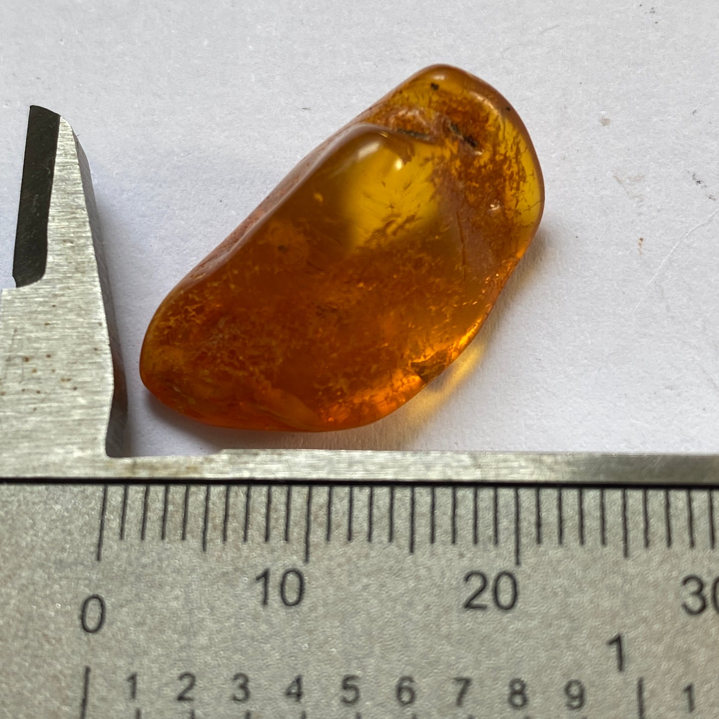 AMBER - KALININGRAD, THE BALTIC, RUSSIA. 2g. MF2373